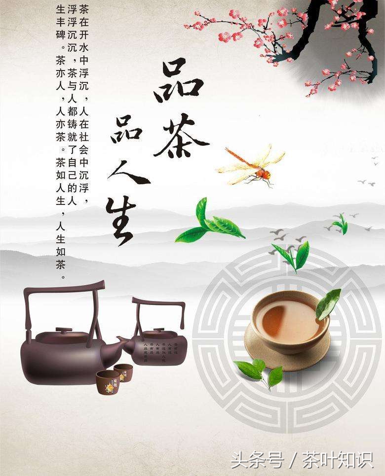 茶言茶语 品茶悟人生,茶语人生经典句子