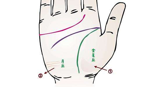 看手上这几个地方,就能看出一个女人是否桃花很旺,很受异性欢迎