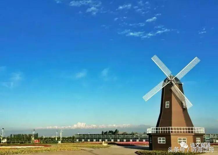 仰望五彩风车，缤纷转动映晴空
