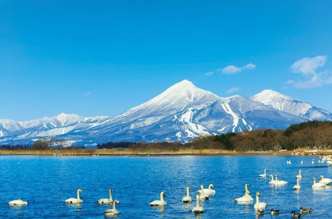 日本再次放宽五年多次签！附日本3种旅游签申请干货