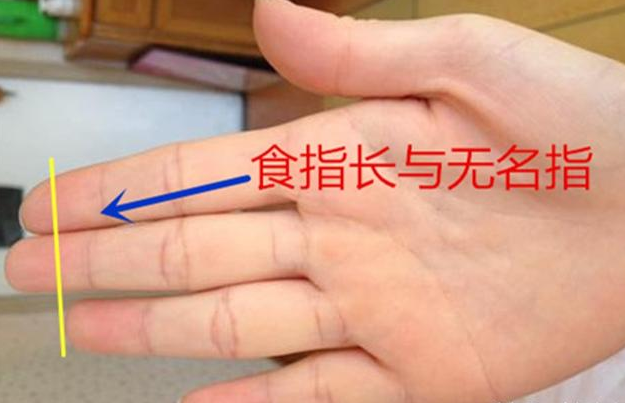 手相：食指和无名指分别代表什么