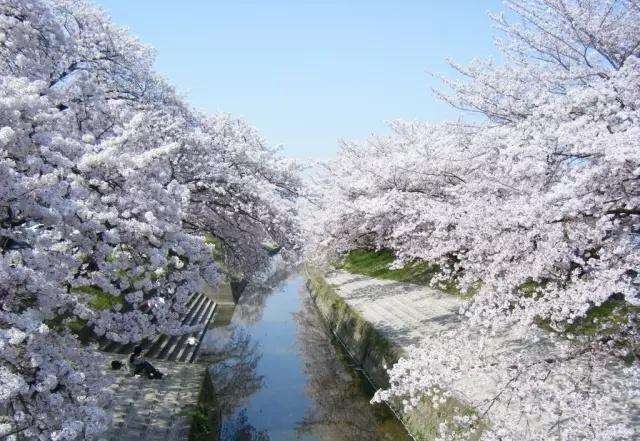 日本再次放宽五年多次签！附日本3种旅游签申请干货