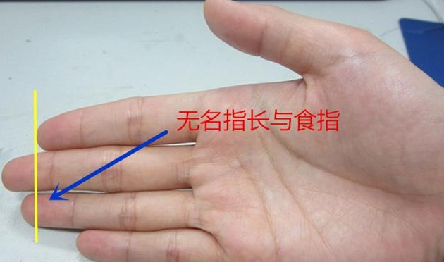 手相：食指和无名指分别代表什么