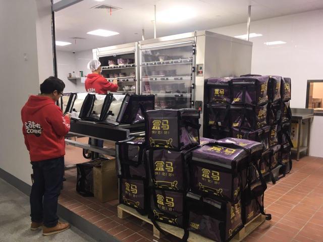 独家揭秘阿里亲儿子舍命狂奔:"河马先生"你学不会!