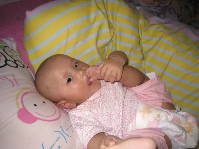 「柚子说」待到山花烂漫时,静候柚子笑丛中
