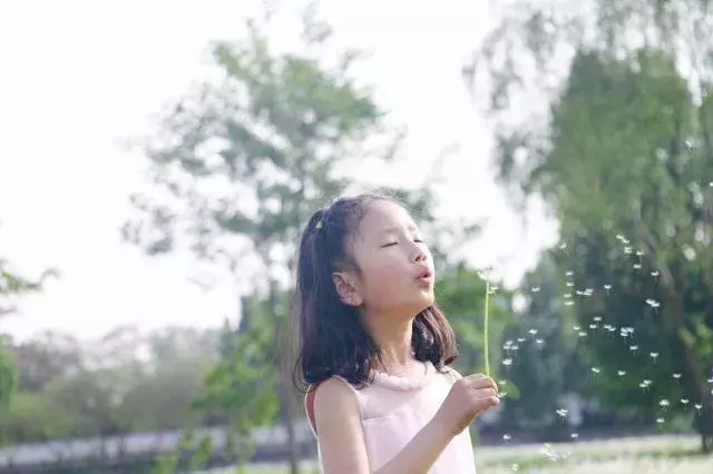 「柚子说」待到山花烂漫时,静候柚子笑丛中