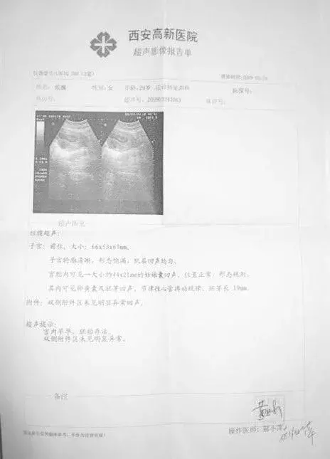 「柚子说」待到山花烂漫时,静候柚子笑丛中
