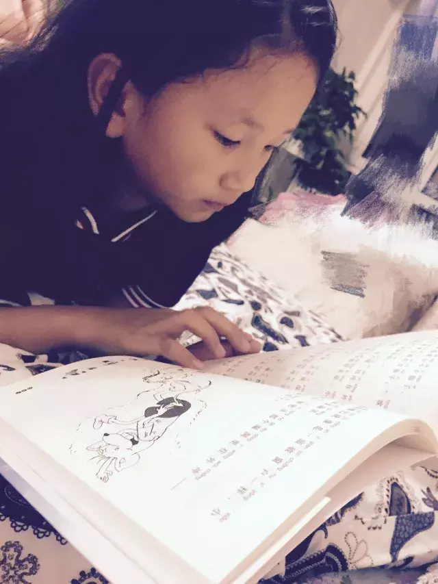 「柚子说」待到山花烂漫时,静候柚子笑丛中