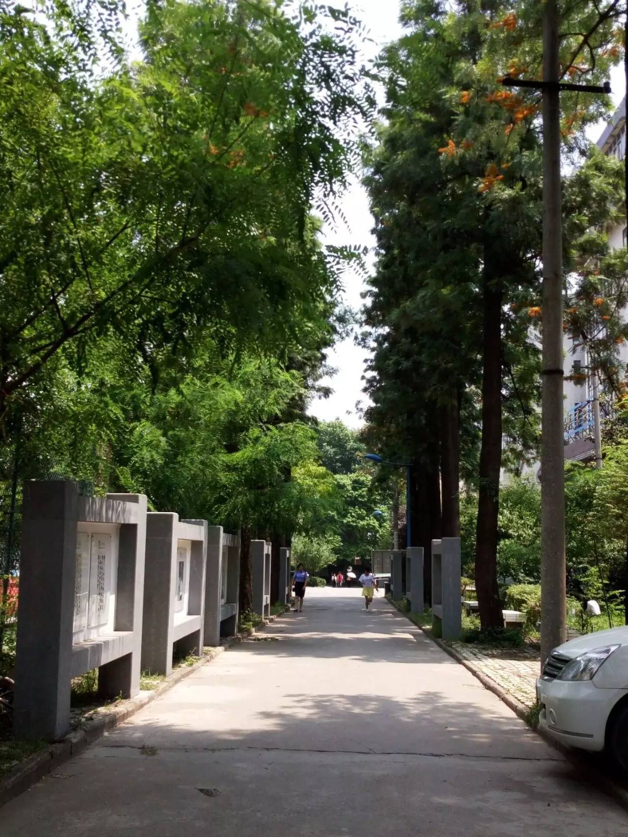 大家好，给大家介绍一下，这是我的大学兴义民族师范学院