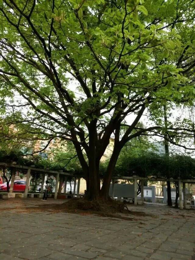 大家好，给大家介绍一下，这是我的大学兴义民族师范学院