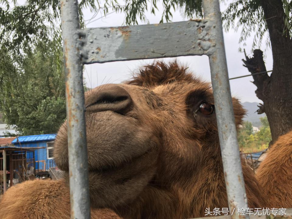 买台宝马X6送未婚妻！6年8万公里的X6如今还值多少钱？