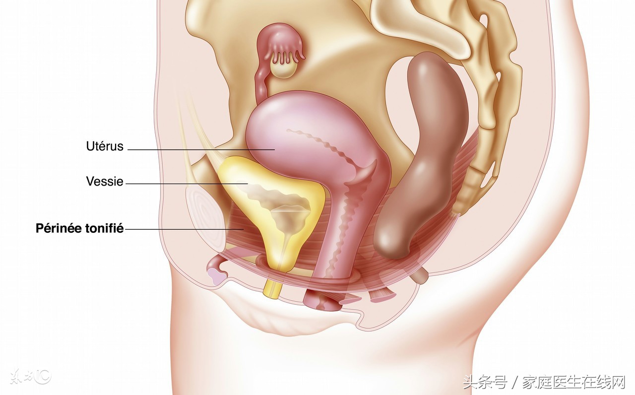 提肛运动正确做法及肛周湿润原因分析