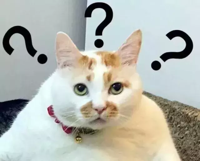 新能源汽车真的好吗？优势与真相揭秘