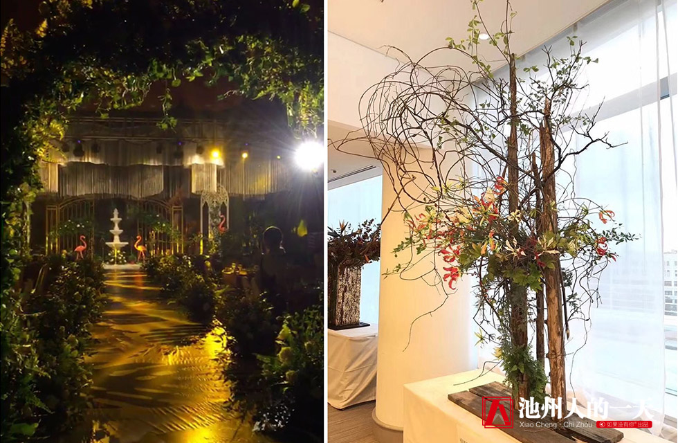 她学花艺12个小时就敢开店，现在却是高级花艺师、二级花艺教师