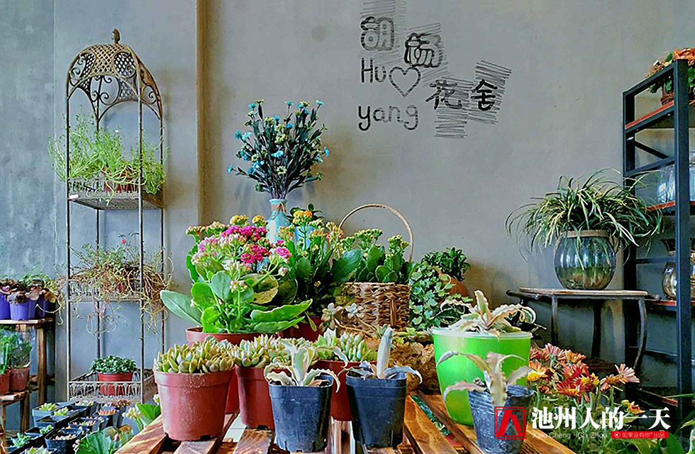 她学花艺12个小时就敢开店，现在却是高级花艺师、二级花艺教师