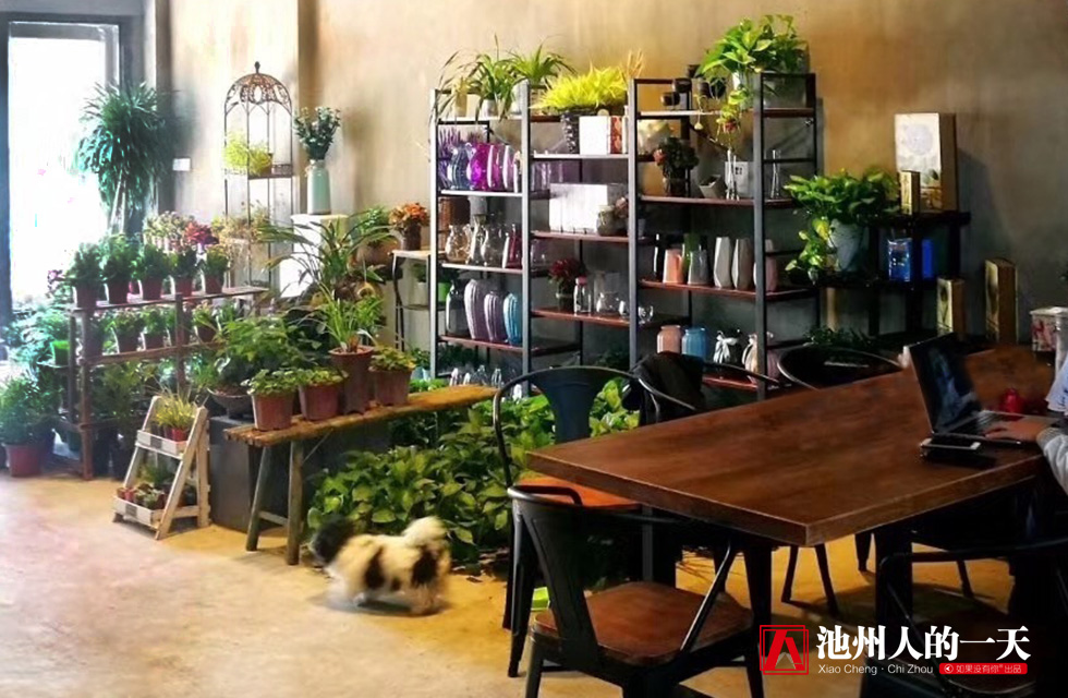 她学花艺12个小时就敢开店，现在却是高级花艺师、二级花艺教师