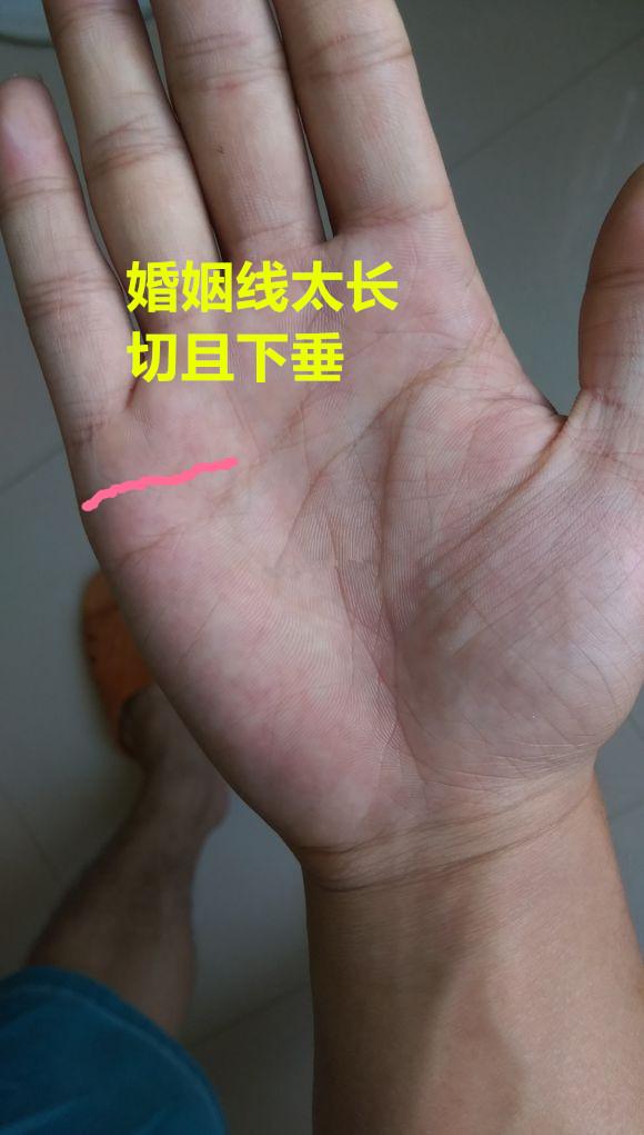 三角在手富贵必有,天纹长羽必有情劫带婚伤