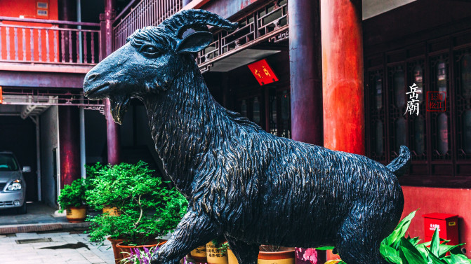 上海松江的这座庙里，居然有这么神奇的羊