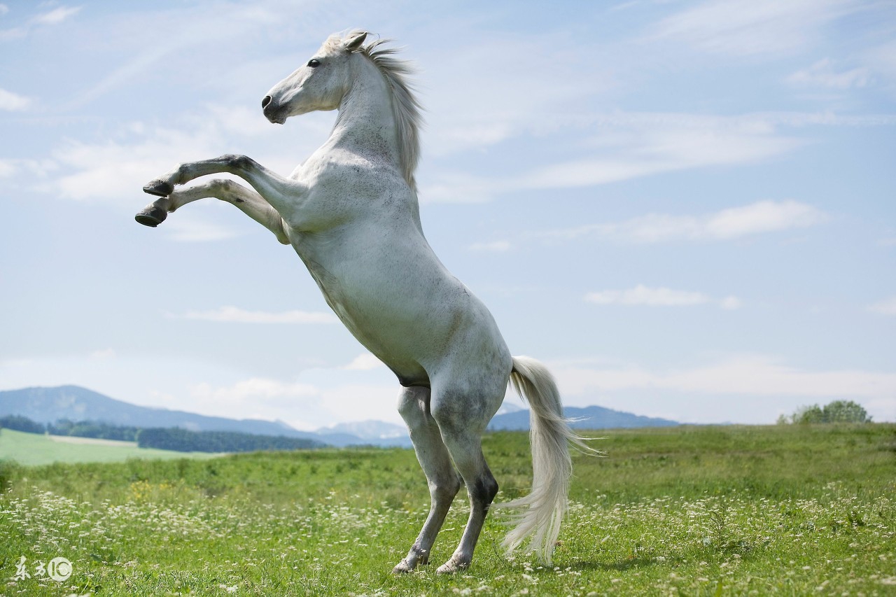 78年的马宝宝,一定要把握好10月的最后几天,会有意想不到的收获
