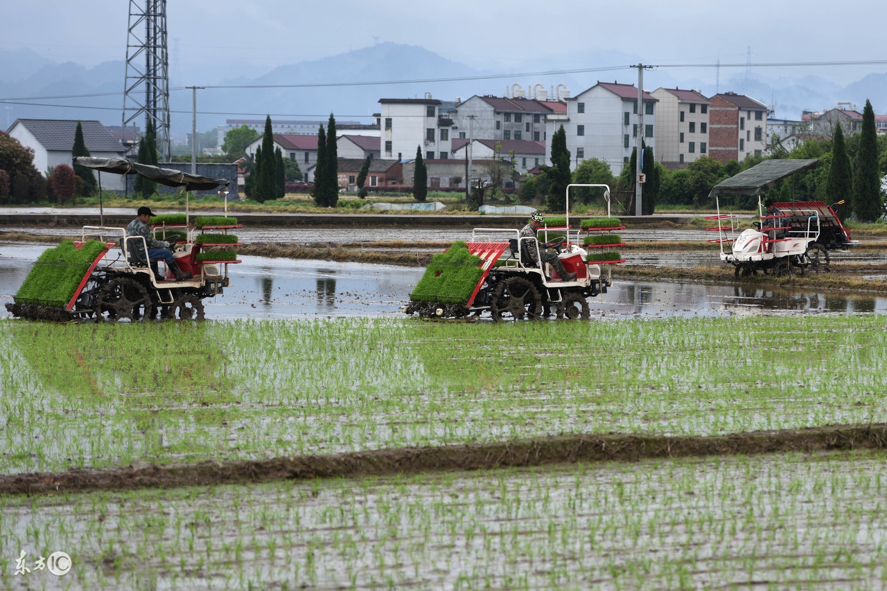 这几款水稻插秧机都加载了一个新装置，备受农民喜爱！