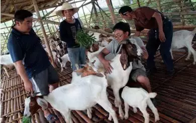 想创业，没资金？这5种借贷方法你可以试试！