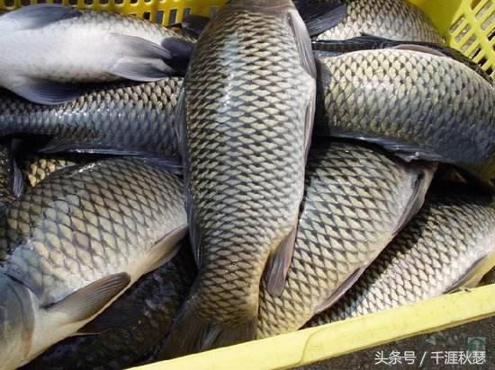 悠悠中原，盘点河南省十大著名特产，一县有两款上榜