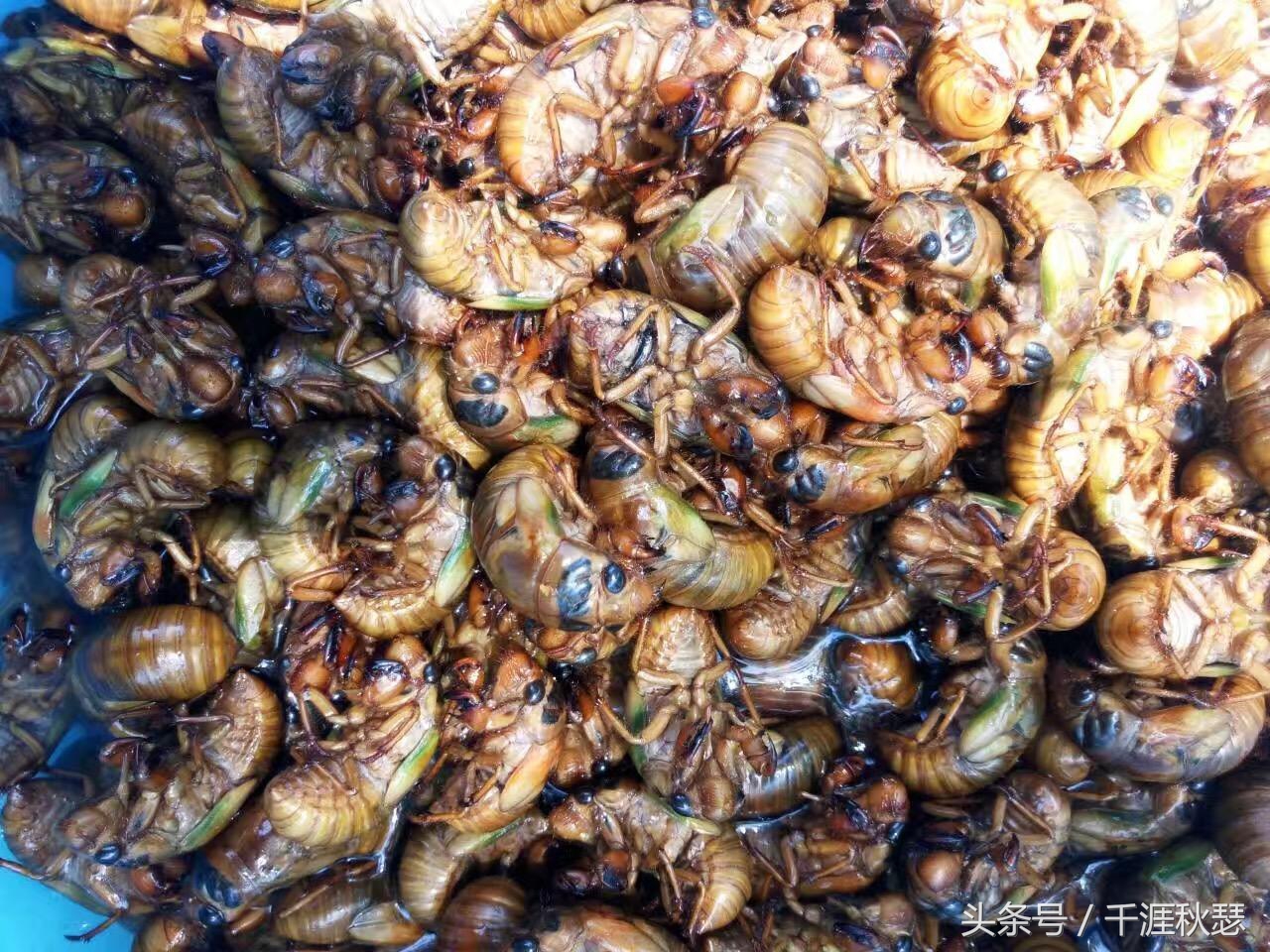 悠悠中原，盘点河南省十大著名特产，一县有两款上榜