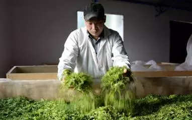 想创业，没资金？这5种借贷方法你可以试试！