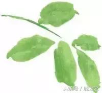 宝马7系内饰改装 Alcantara麂皮包裹 顶级豪华内饰