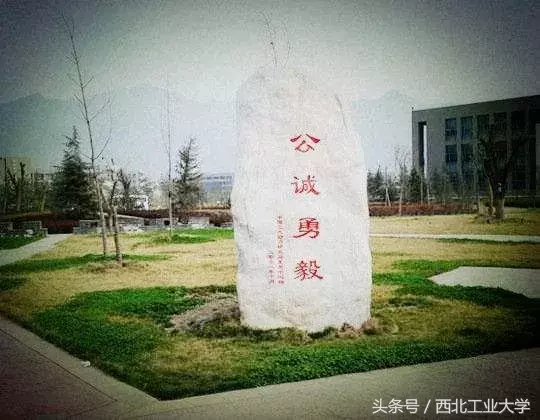 高校“靠山”大对比，工大的最大“靠山”竟然是……