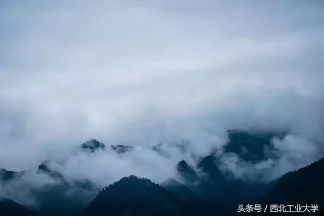 高校“靠山”大对比，工大的最大“靠山”竟然是……