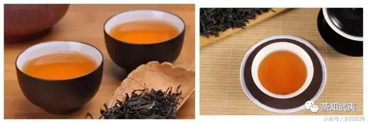 红茶和乌龙茶的区别是什么（乌龙茶和红茶的不同点）
