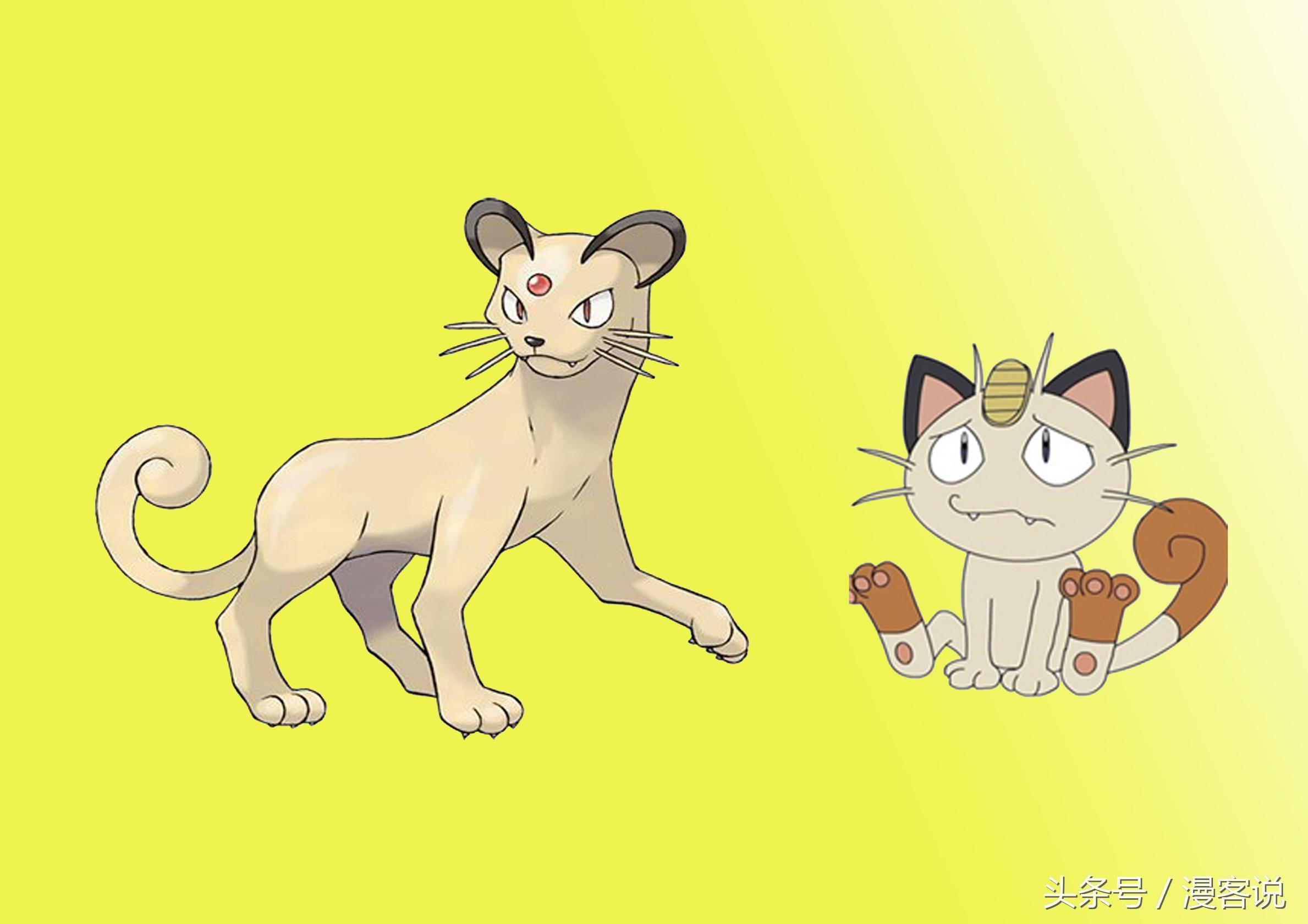 猫类神奇宝贝颜值排行榜