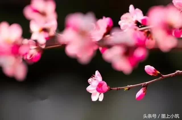 世界上最动情的句子，一句入心，一生难忘
