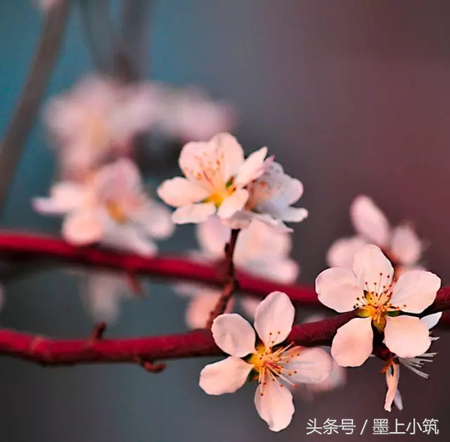 世界上最动情的句子，心都醉了