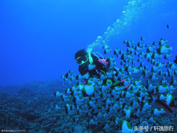 全球十大蜜月海岛（云游世界5个著名海岛）