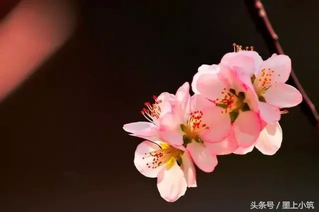 世界上最动情的句子，心都醉了