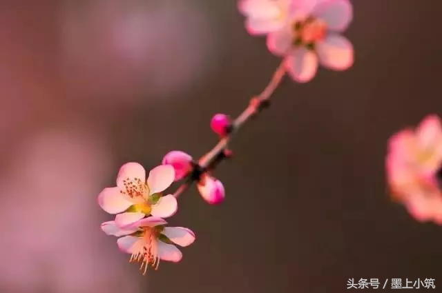 世界上最动情的句子，心都醉了