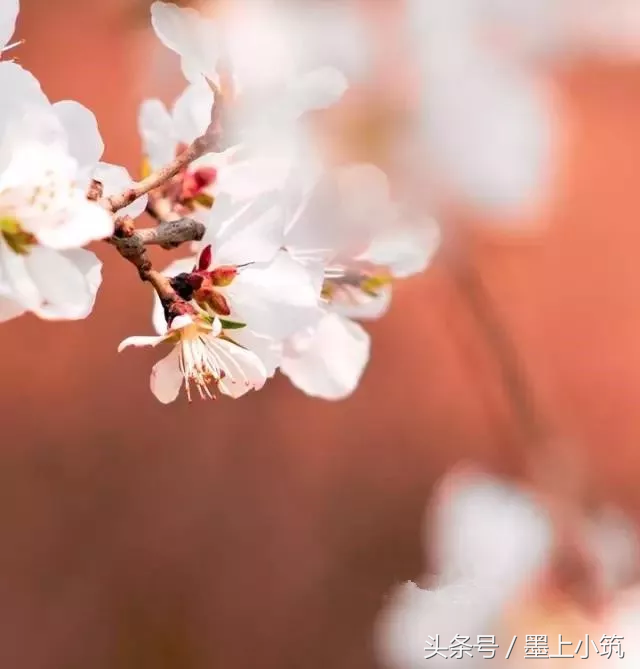 世界上最动情的句子，心都醉了