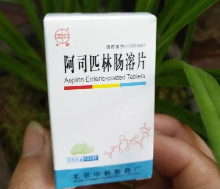 水培瓶里加点料，富贵竹疯长，都能长到天花板！