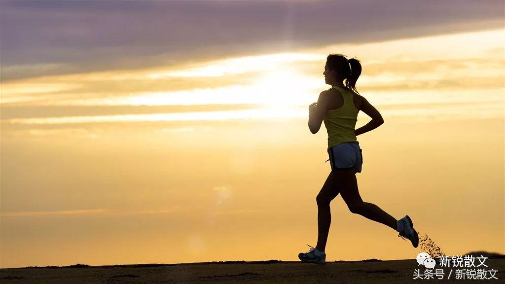 关于描写奔跑的散文 _晶羽科技
