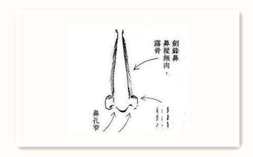 女人长什么样的鼻子即富贵又能旺夫益子呢？男人女人必读！