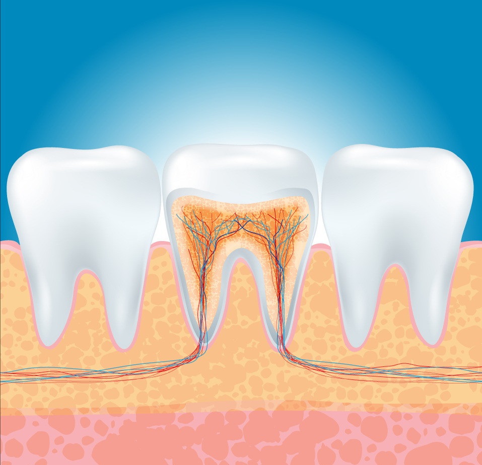 什么时候需要给牙齿做根管治疗？要做几次？需要多长时间？
