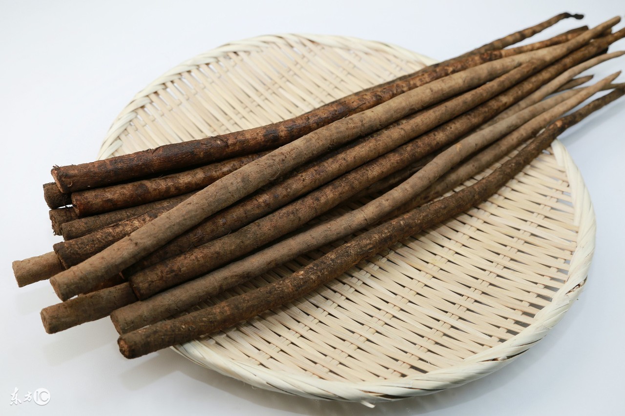 牛蒡的功效是什么（牛蒡7大药用功效与作用大公开）