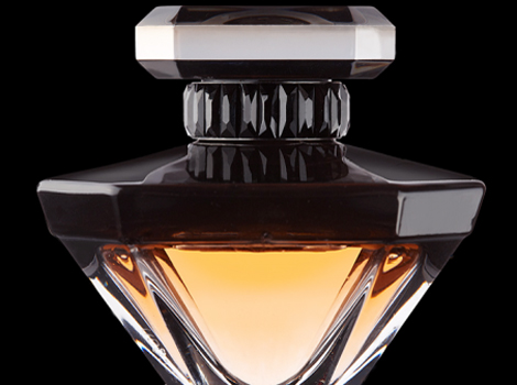 兰蔻香水——法国玫瑰