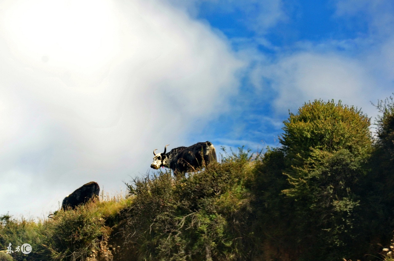 最高法院：不同情形下，如何确定合同履行地，进而确定法院管辖