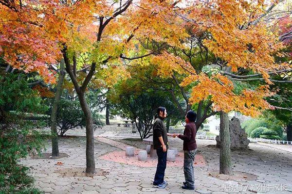 厉害了，这所国字号大学里跟“海”沾边的专业就业率几乎都为100%