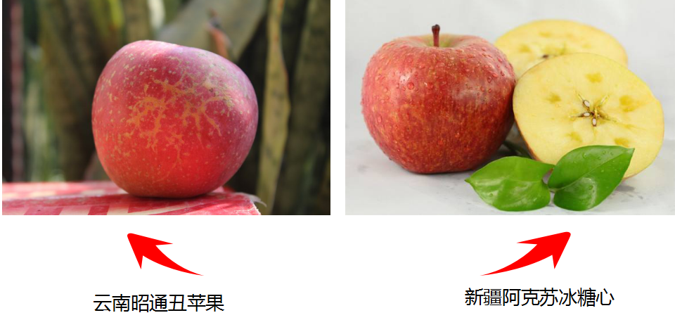 云南高原的“丑苹果”PK新疆阿克苏的冰糖心，哪个更胜一筹呢？