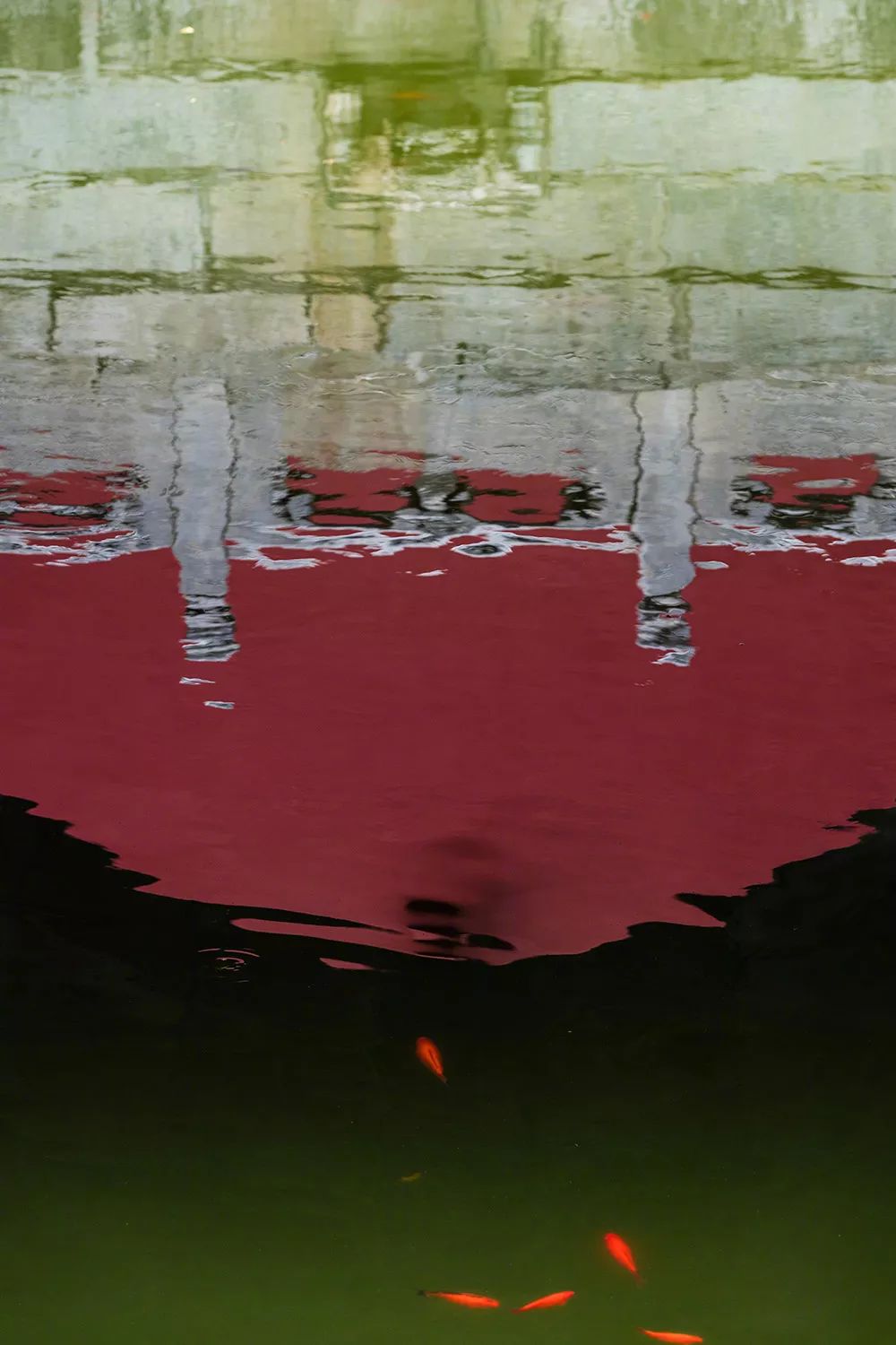 金风一染芳华，开遍了福熹安康