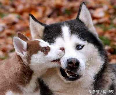 你大学很合群？不好意思，你已开始堕落！